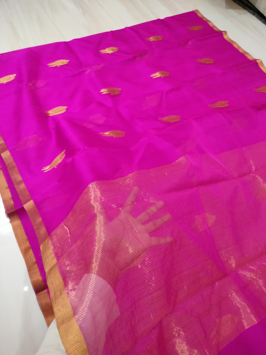 Piping Border Katan Organza Silk Saree